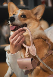 "Classy" Bag Case - comfort and elegance on every walk