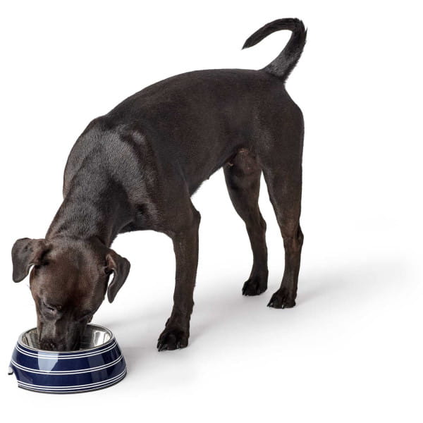 Hunter Miska Melaminowa Silda Niebieska dla Psa