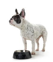 Hunter Miska Kimberley Czarna – Styl i Jakość