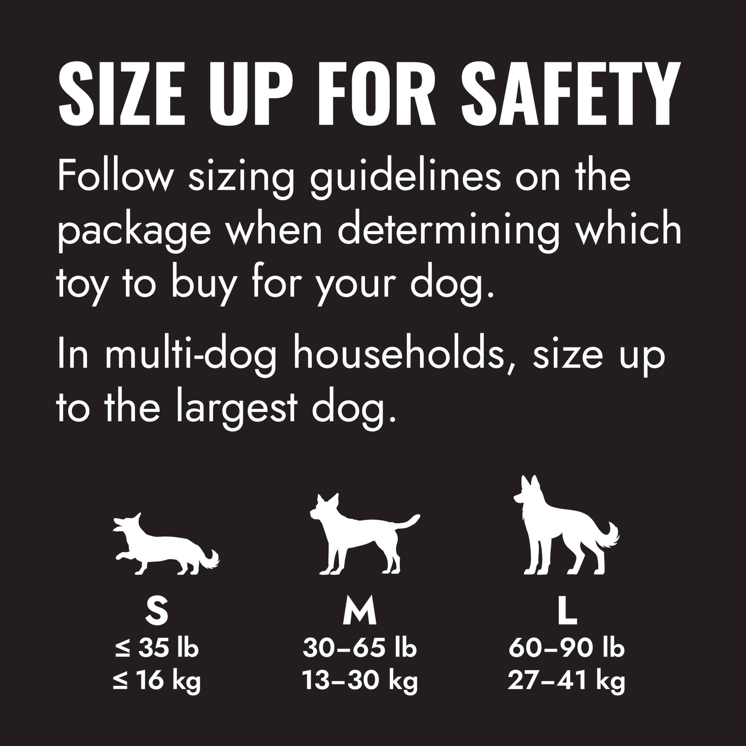 KONG Extreme Ball S–L – Najwytrzymalsza piłka dla psa