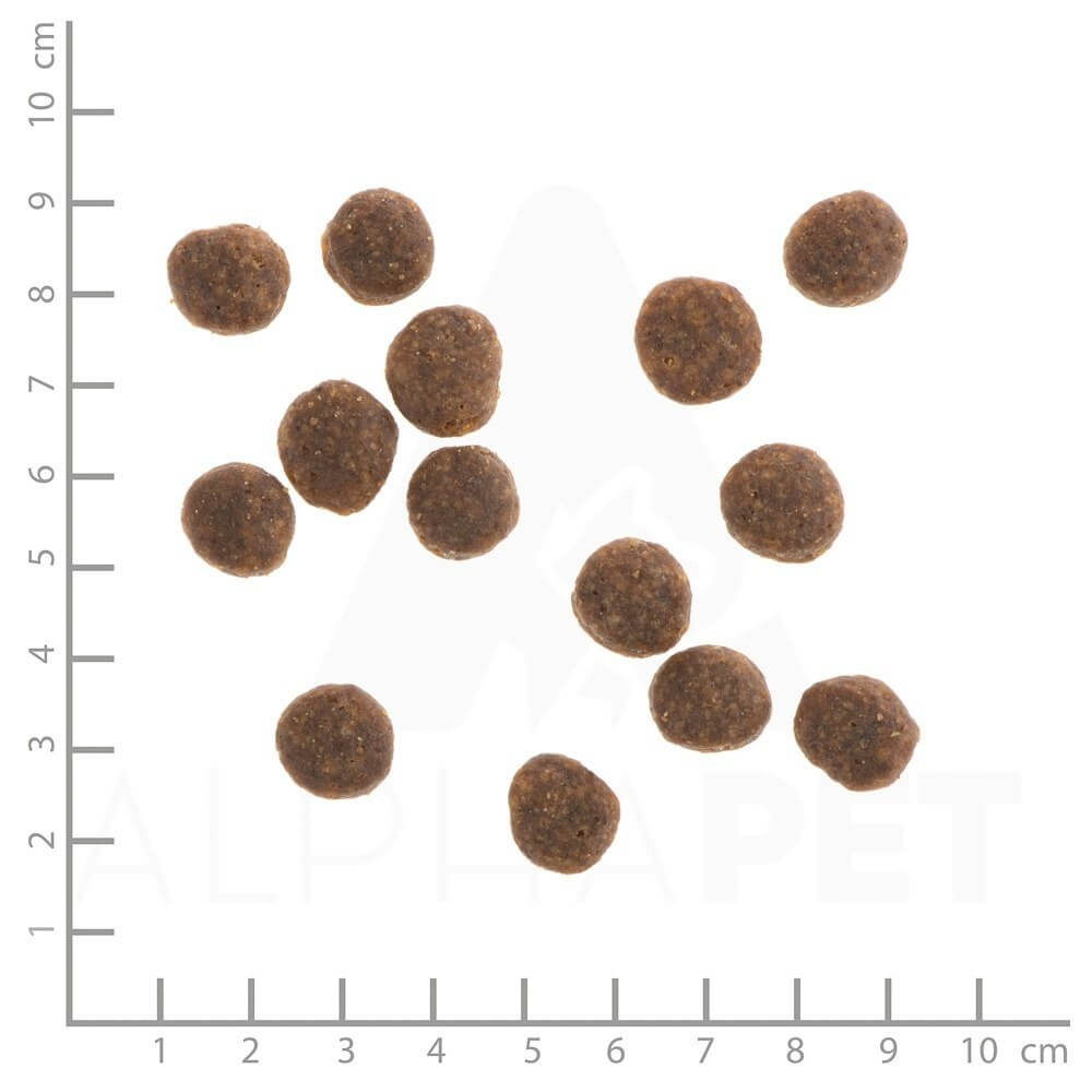 WILDES LAND DOG Ente - kaczka z ziemniakami i ziołami