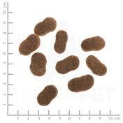 WILDES LAND DOG Lamm Lachs - jagnięcina i łosoś z ziemniakami i ziołami