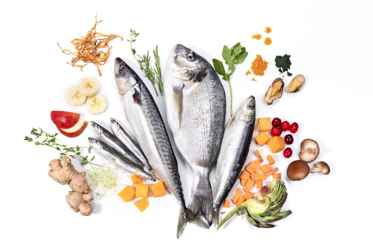 YDOLO Wild Fish – Półwilgotna Karma dla Psa 75% Ryby Morskie