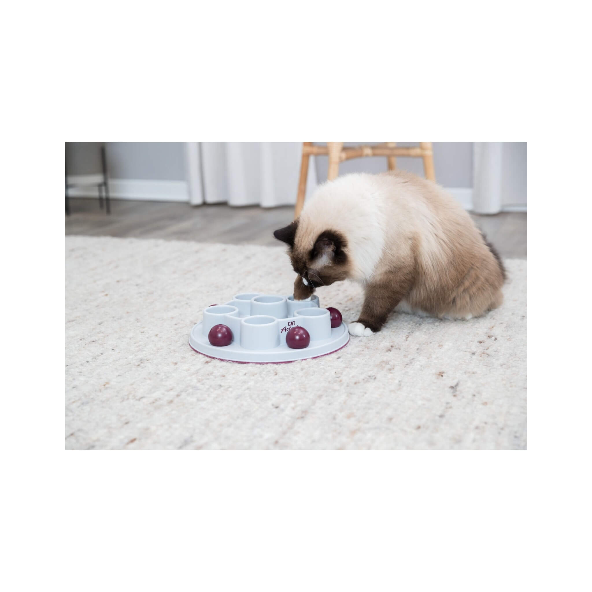 Cat Activity Digger - interactive educational cat toy