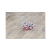 Cat Activity Hide'n'Sniff Bowl - educational bowl for cats