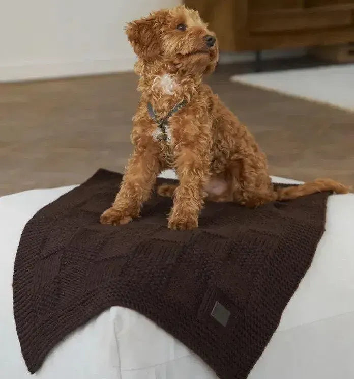 Dog blanket "Chess" - brown (100 × 80 cm)