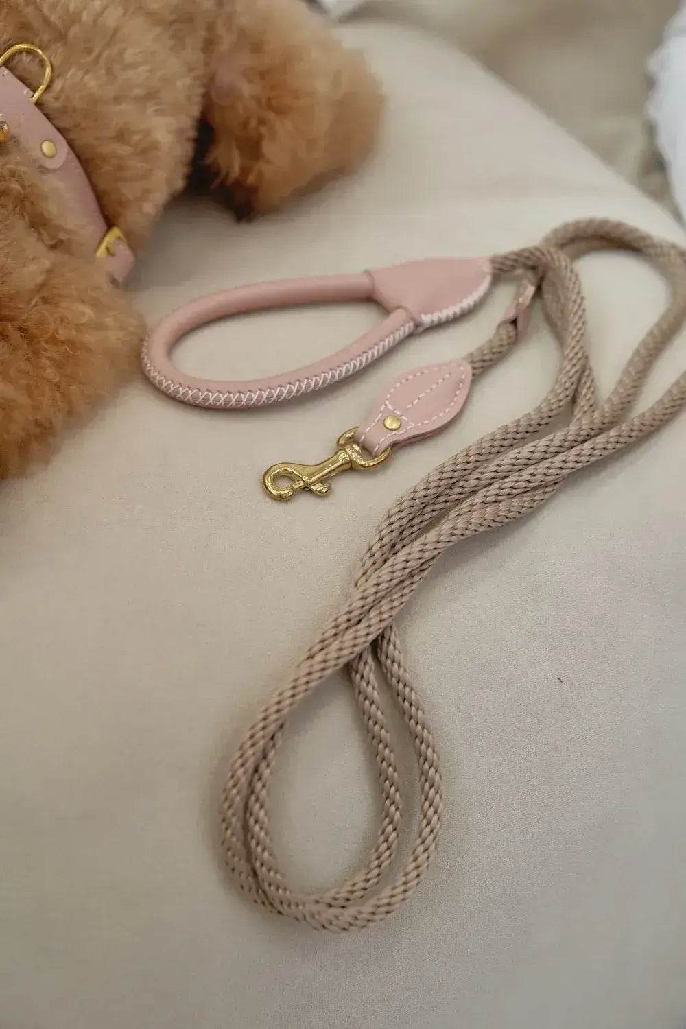 A luxurious set of dog accessories - handmade, premium