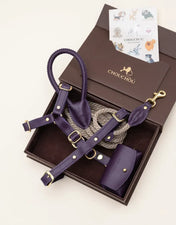 A luxurious set of dog accessories - handmade, premium