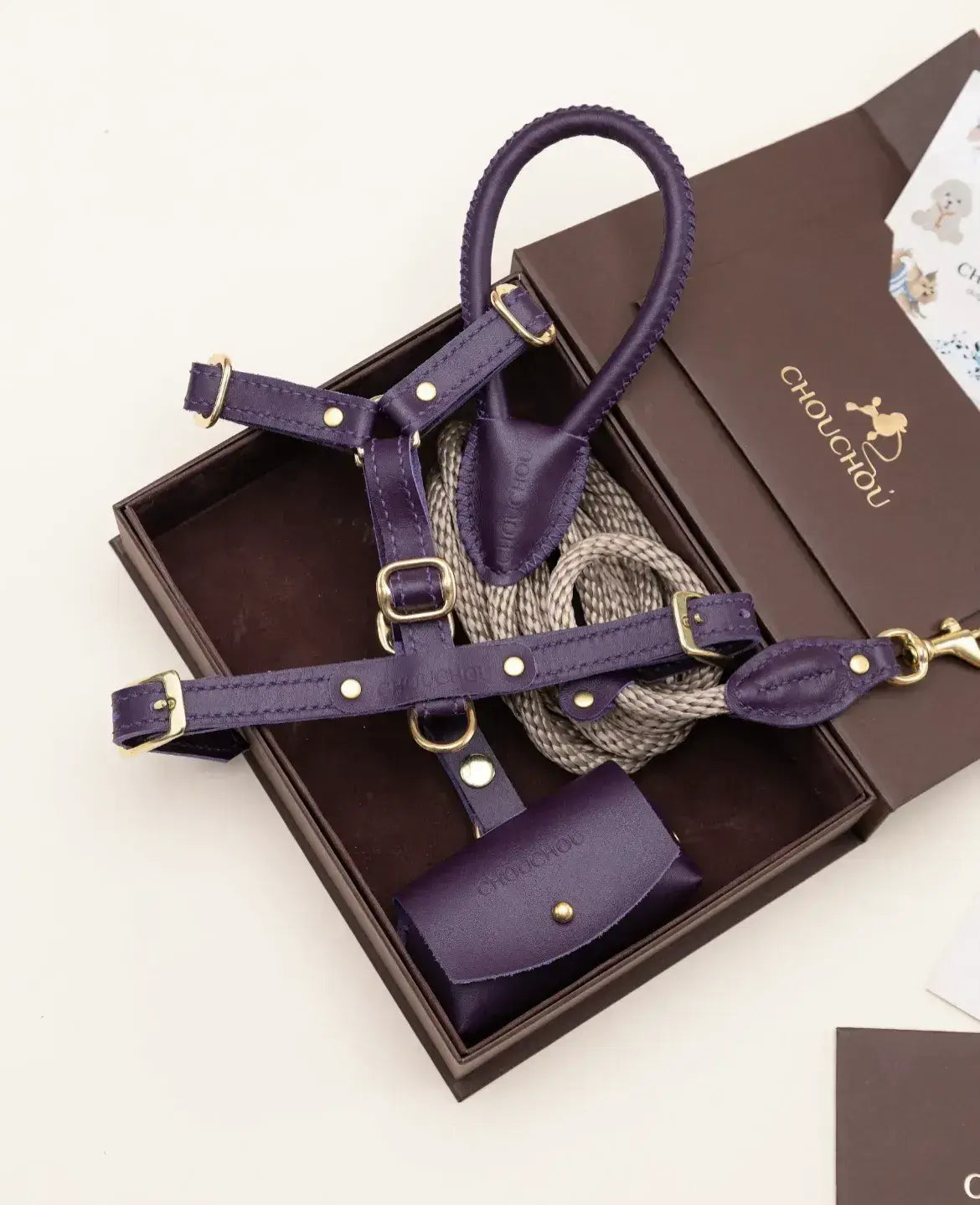 A luxurious set of dog accessories - handmade, premium