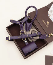 A luxurious set of dog accessories - handmade, premium