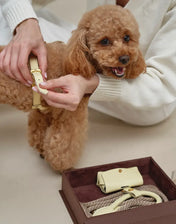 A luxurious set of dog accessories - handmade, premium