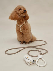 A luxurious set of dog accessories - handmade, premium