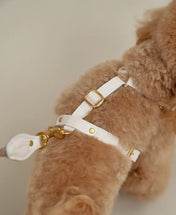A luxurious set of dog accessories - handmade, premium
