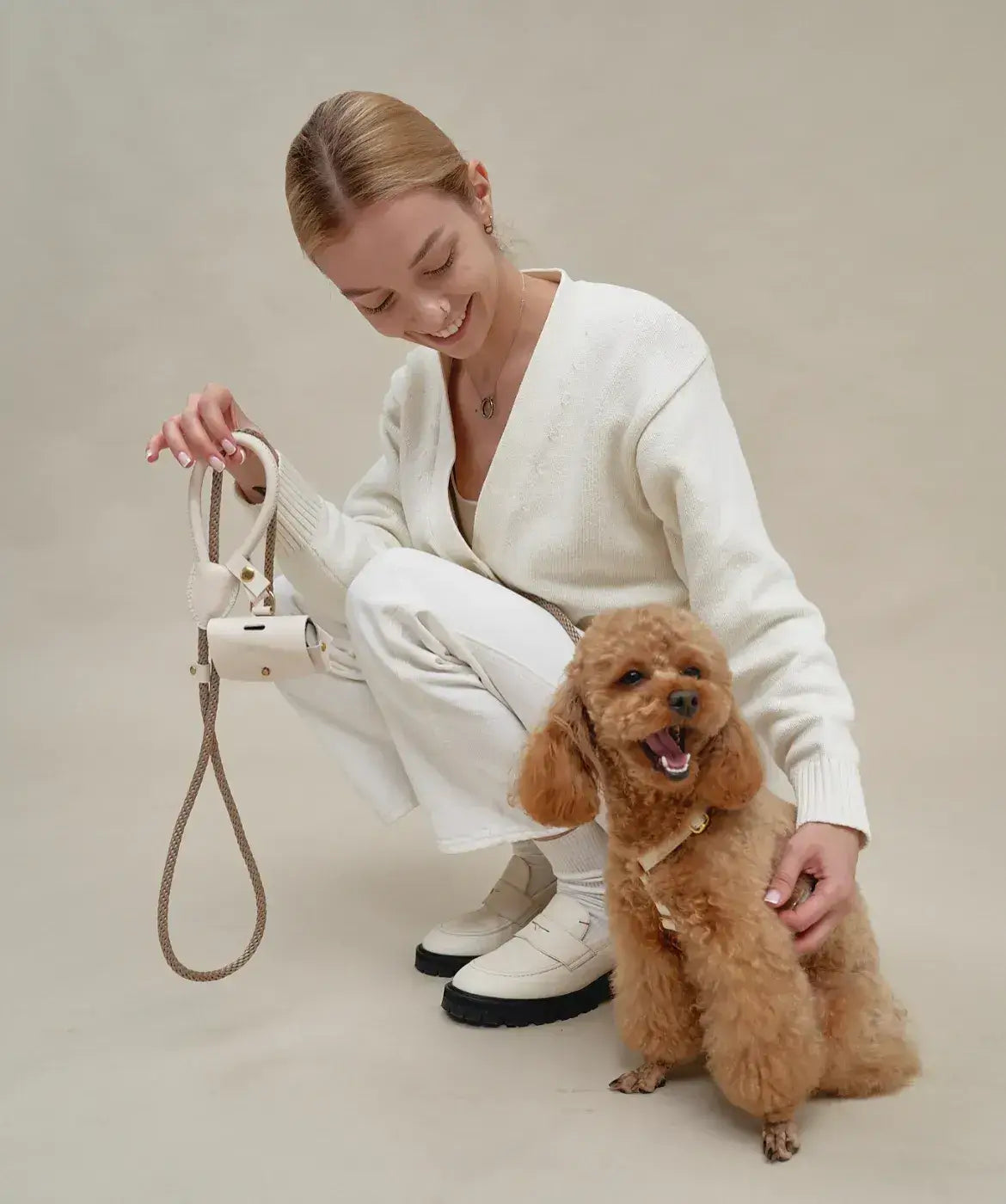 A luxurious set of dog accessories - handmade, premium