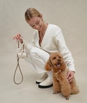 A luxurious set of dog accessories - handmade, premium