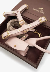 A luxurious set of dog accessories - handmade, premium