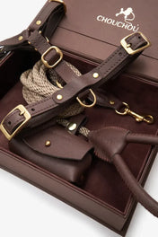 A luxurious set of dog accessories - handmade, premium