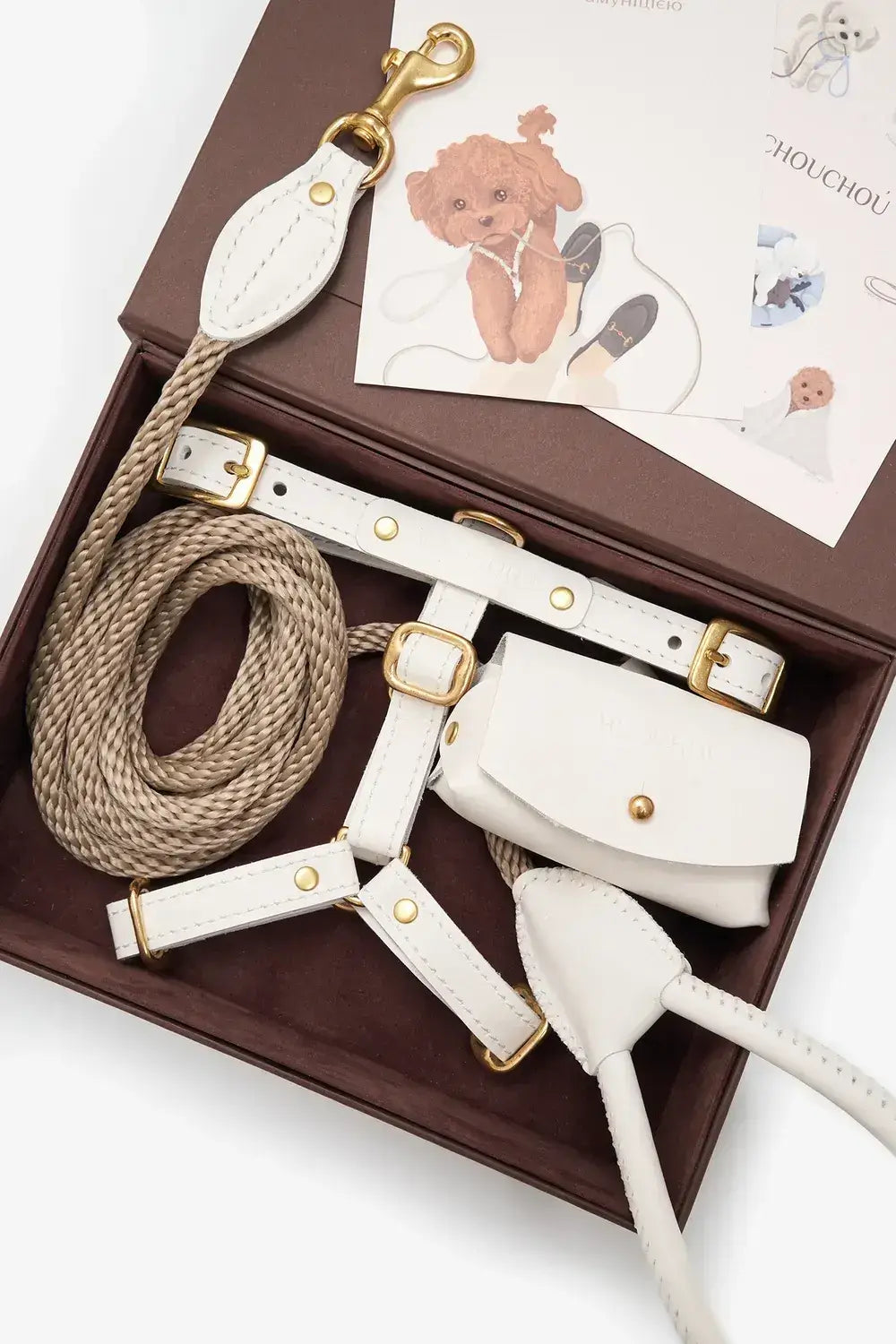 A luxurious set of dog accessories - handmade, premium