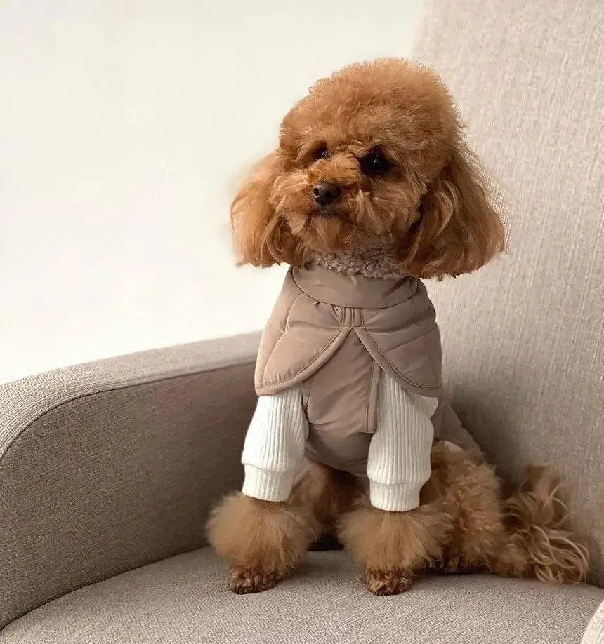 Winter dog jacket "Waffle" in beige with taupe fur