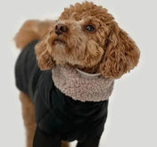 Winter dog jacket "Waffle" in black with taupe fur