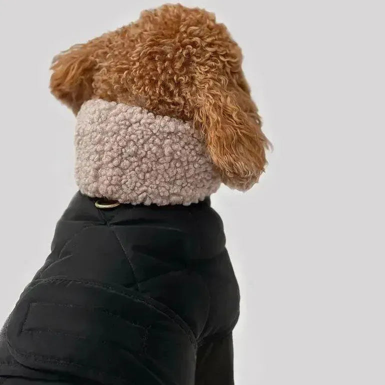 Winter dog jacket "Waffle" in black with taupe fur
