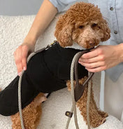 Winter dog jacket "Waffle" in black with milky fur