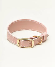 "Almond" dog collar - lightness, comfort and handcraft