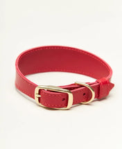 "Almond" dog collar - lightness, comfort and handcraft