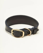 "Almond" dog collar - lightness, comfort and handcraft