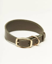 Obroża dla psa „Almond” – lekkość, komfort i ręczne rzemiosło