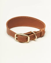 "Almond" dog collar - lightness, comfort and handcraft