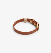 Dog collar "BioThane" in light brown with powder