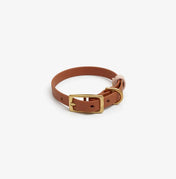 Dog collar "BioThane" in light brown with powder