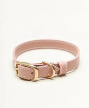 "Classy" dog collar - elegance in a minimalist version