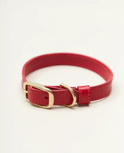 "Classy" dog collar - elegance in a minimalist version