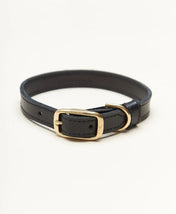 "Classy" dog collar - elegance in a minimalist version
