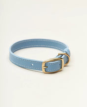 "Classy" dog collar - elegance in a minimalist version