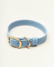 "Classy" dog collar - elegance in a minimalist version