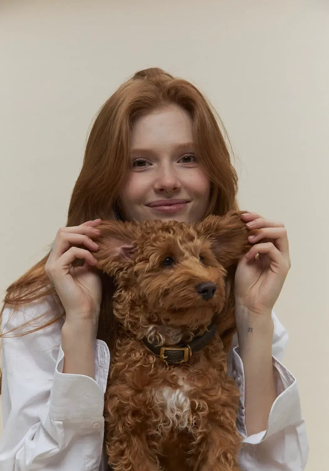 "Classy" dog collar - olive elegance in a minimalist version