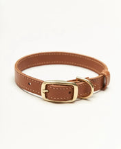 "Classy" dog collar - elegance in a minimalist version
