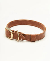 "Classy" dog collar - elegance in a minimalist version