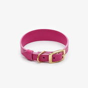 "Almond" dog collar - lightness, comfort and handcraft