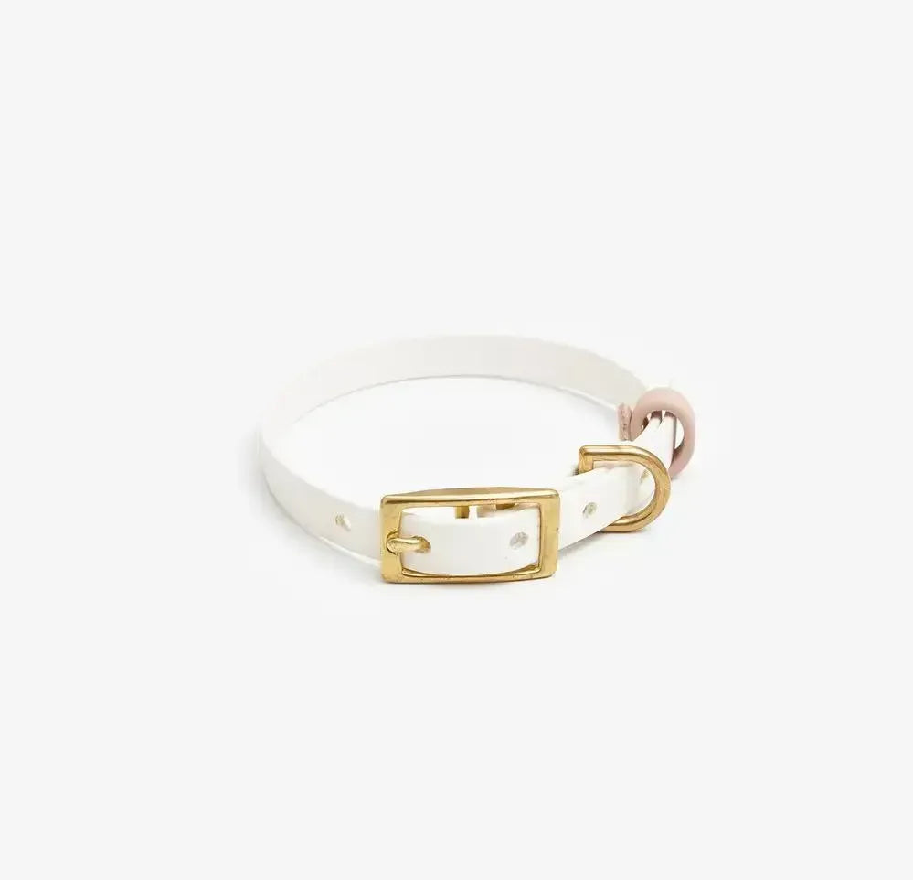 Dog collar "BioThane" in white with powder