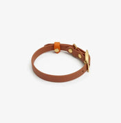 Dog collar "BioThane" in light brown with orange