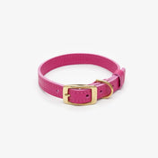 "Classy" dog collar - elegance, durability and hand-made