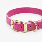 "Classy" dog collar - elegance, durability and hand-made