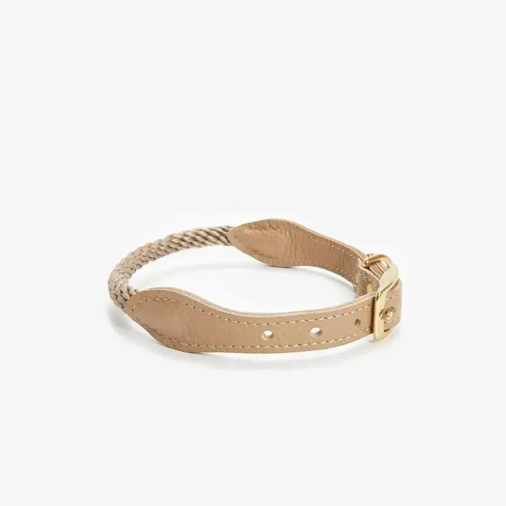 Dog collar with string "Caviar Terra"