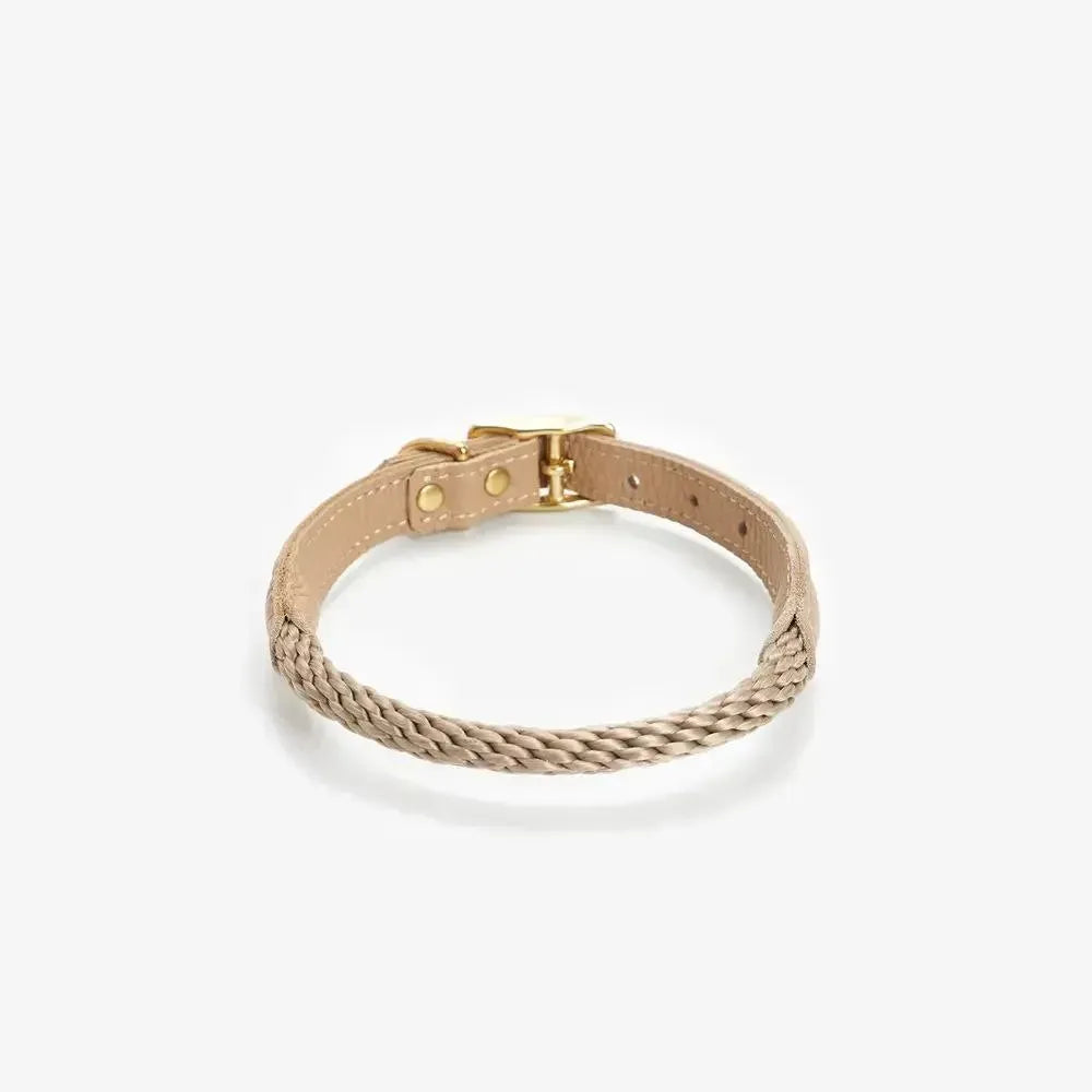 Dog collar with string "Caviar Terra"