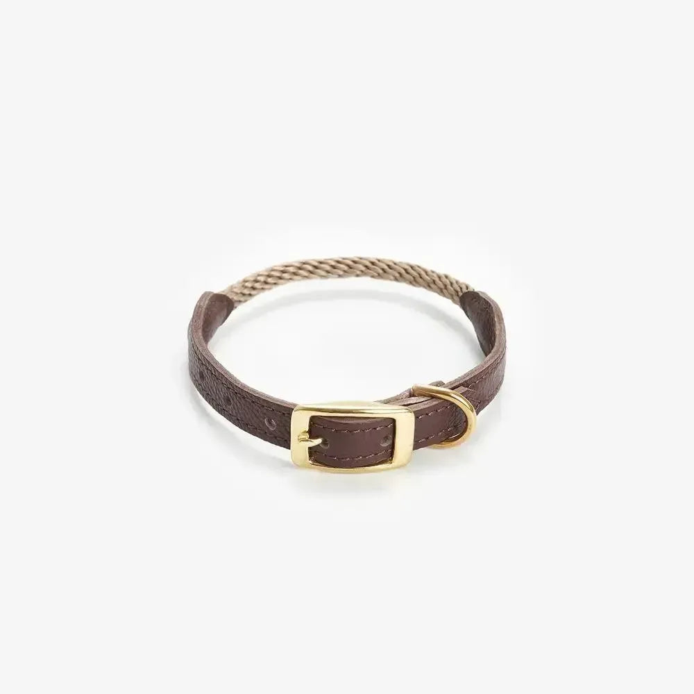 Dog collar with string "Caviar Terra"