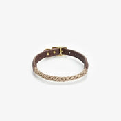 Dog collar with string "Caviar Terra"